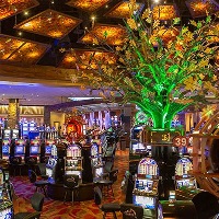 Jelly roll choctaw casino durant, влизане в казино sunrise slots, как да получите безплатни монети в казино cash frenzy